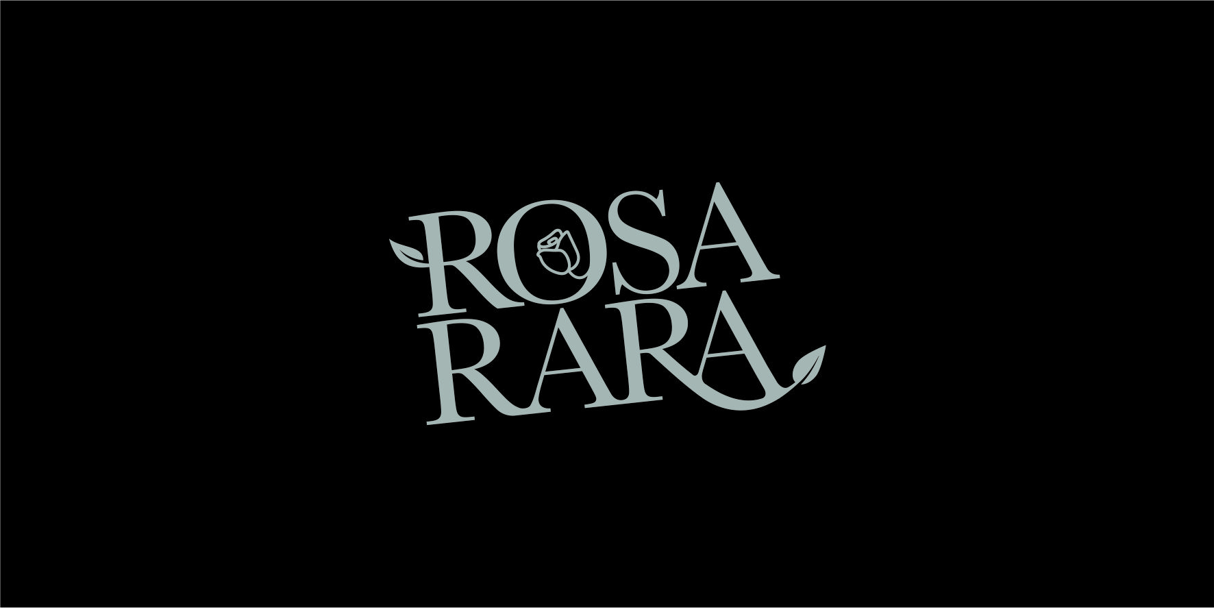Rosa Rara